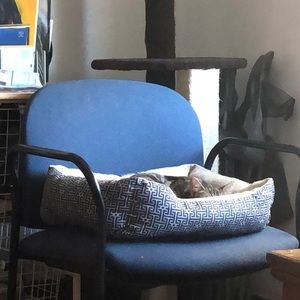 Meet your Posher, Dk